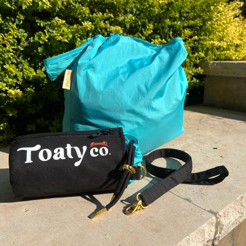Toaty Co Black Toaty Case and Four Packable Tote Bags (Black/Cyan)